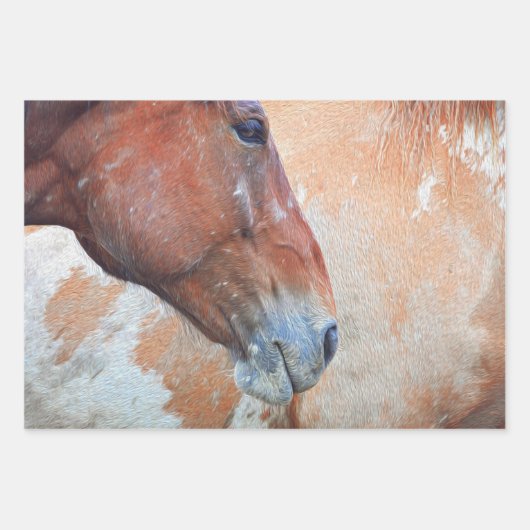 Paardenland Rustic Brown Westerne ontkoppeling Inpakpapier Vel (Voorkant 2)