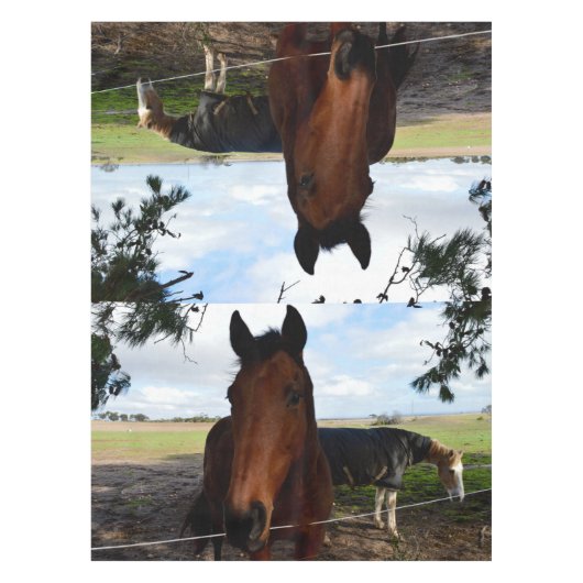 Paardenland Tafelkleed (Voorkant)