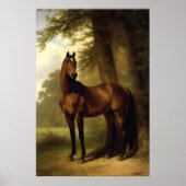  Paardenlandschap Digitale kunst Poster (Voorkant)