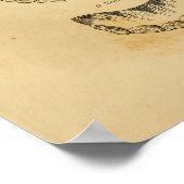 Paardenleeftijd door teeth Anatomy Print (Hoek)