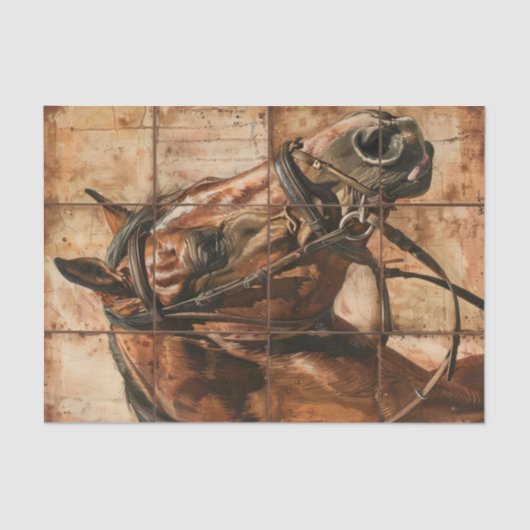 Paardenleven Tissuepapier (Voorkant)