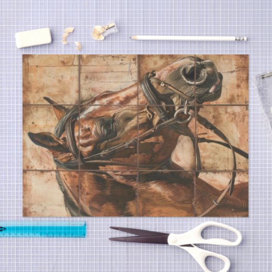 Paardenleven Tissuepapier (Craft)