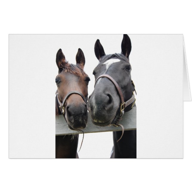 Paardenliefde (Voorkant Horizontaal)