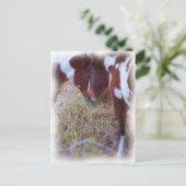 paardenliefde briefkaart (Staand voorkant)