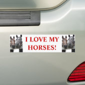 Paardenliefde Bumpersticker (Op auto)