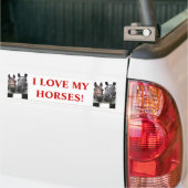 Paardenliefde Bumpersticker (Op Truck)