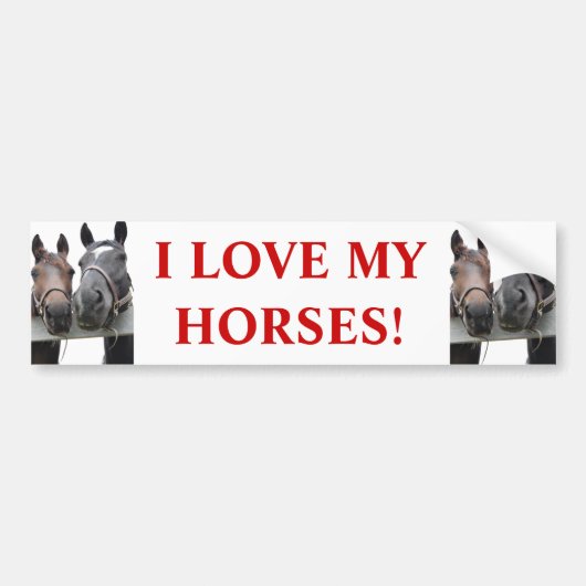 Paardenliefde Bumpersticker (Voorkant)