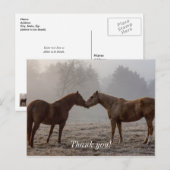 Paardenliefde Dank Je Briefkaart (Voorkant / Achterkant)