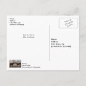 Paardenliefde denken aan jou briefkaart (Achterkant)