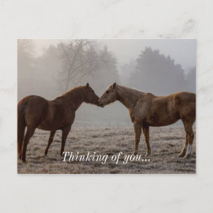 Paardenliefde denken aan jou briefkaart