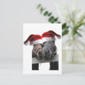 Paardenliefde en vrolijk kerstfeest feestdagenkaart (Staand voorkant)