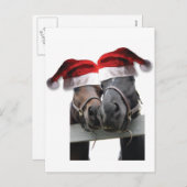 Paardenliefde en vrolijk kerstfeest feestdagenkaart (Voorkant / Achterkant)