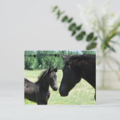 Paardenliefde moeder en baby briefkaart (Staand voorkant)