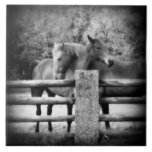 Paardenliefde - Paar of Horses in Loving Embrace Tegeltje