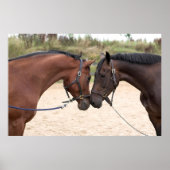 paardenliefdesposter poster (Voorkant)