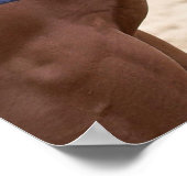 paardenliefdesposter poster (Hoek)