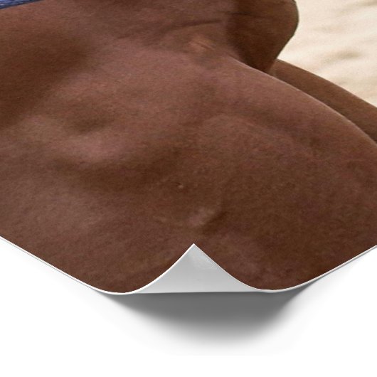 paardenliefdesposter poster (Hoek)