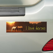 Paardenliefhebber Bumpersticker (Op auto)
