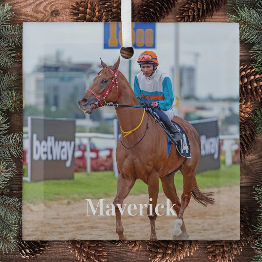 Paardenliefhebber Gepersonaliseerde Pet Photo Ruit Glas Ornament
