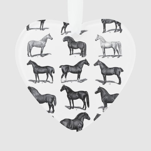 Paardenliefhebber Ornament (voorkant)