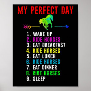 Paardenliefhebber Shirt Horseck Riding Horse Lover Poster