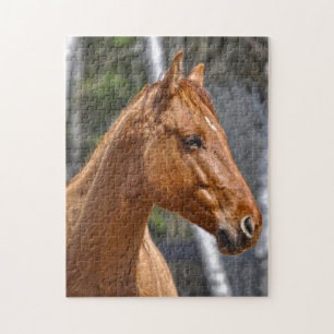 Paardenliefhebberij van paardachtigen legpuzzel