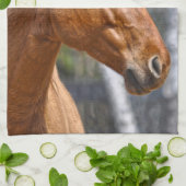 Paardenliefhebberij van paardachtigen theedoek (Gevouwen)