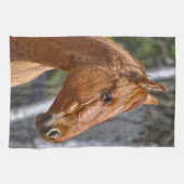 Paardenliefhebberij van paardachtigen theedoek (Horizontaal)