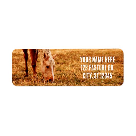 PAARDENLIEFHEBBERS ETIKET (Voorkant)