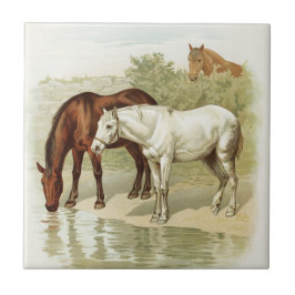  paardenliefhebbers home decor tegel tegeltje