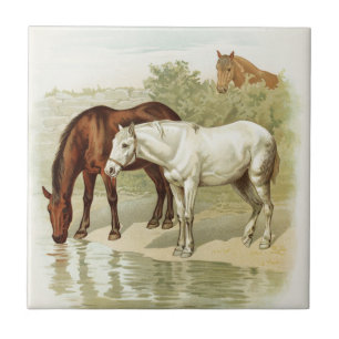 paardenliefhebbers home decor tegel tegeltje