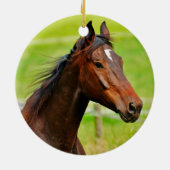 Paardenliefhebbers Paard Herdenkingsornament Keramisch Ornament (Achterkant)
