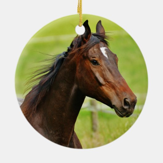 Paardenliefhebbers Paard Herdenkingsornament Keramisch Ornament (Achterkant)