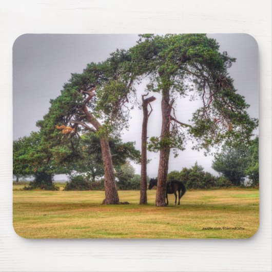 Paardenliefhebber's prachtige paardendierenontwerp muismat (Voorkant)