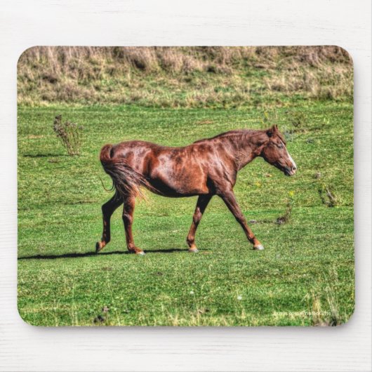 Paardenliefhebber's prachtige paardendierenontwerp muismat (Voorkant)