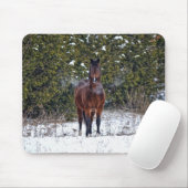 Paardenliefhebber's prachtige paardendierenontwerp muismat (Met muis)