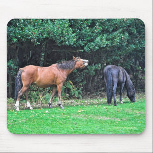Paardenliefhebber's prachtige paardendierenontwerp muismat