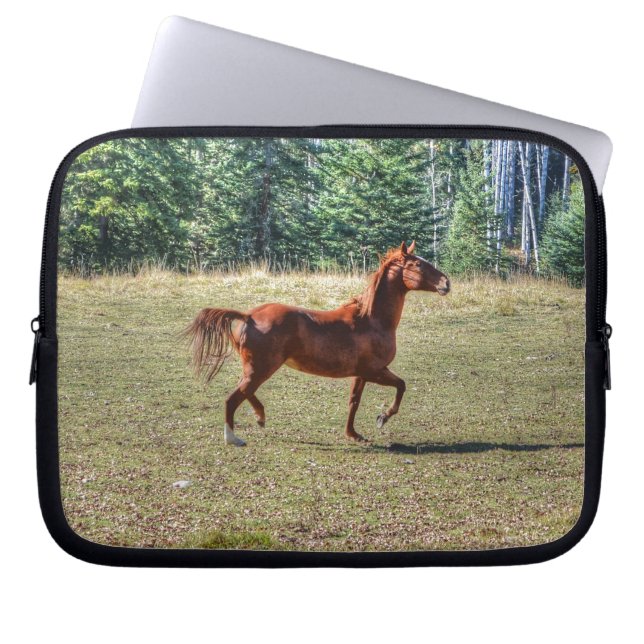 Paardenliefhebbers van Equine Ranch Horse-foto Laptop Sleeve (Voorkant)