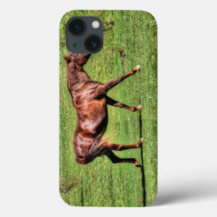 Paardenliefhebbers van paardenliefhebbers iPhone 13 hoesje