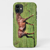 Paardenliefhebbers van paardenliefhebbers Case-Mate iPhone case (Achterkant)