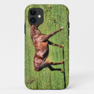 Paardenliefhebbers van paardenliefhebbers iPhone 11 hoesje