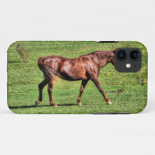 Paardenliefhebbers van paardenliefhebbers Case-Mate iPhone case (Achterkant (horizontaal))