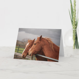 Paardenliefhebbers Wenskaarten Kaart