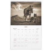 Paardenloop voor het Stable Minded Yarly Kalender (Mar 2027)