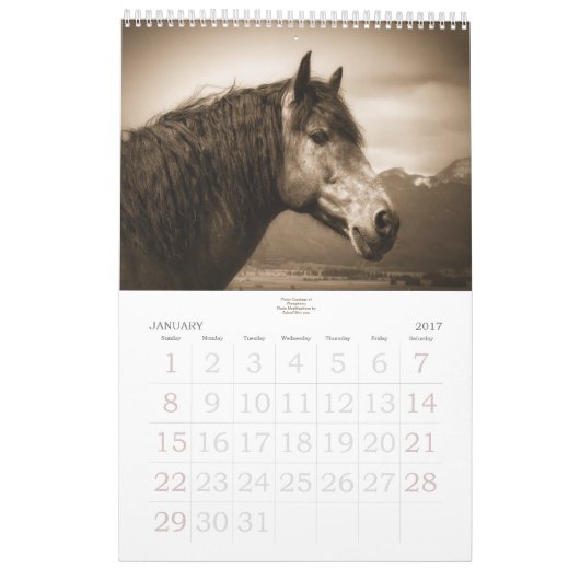 Paardenloop voor het Stable Minded Yarly Kalender (Jan 2017)