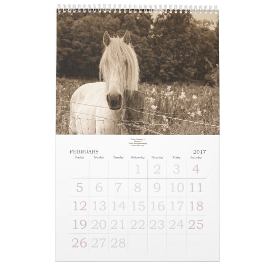 Paardenloop voor het Stable Minded Yarly Kalender (Feb 2017)