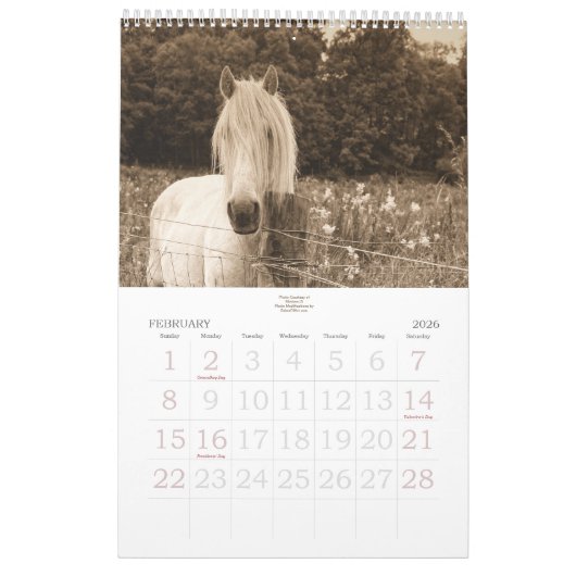 Paardenloop voor het Stable Minded Yarly Kalender (Feb 2026)