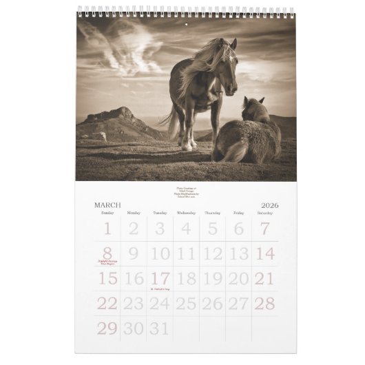 Paardenloop voor het Stable Minded Yarly Kalender (Mar 2026)