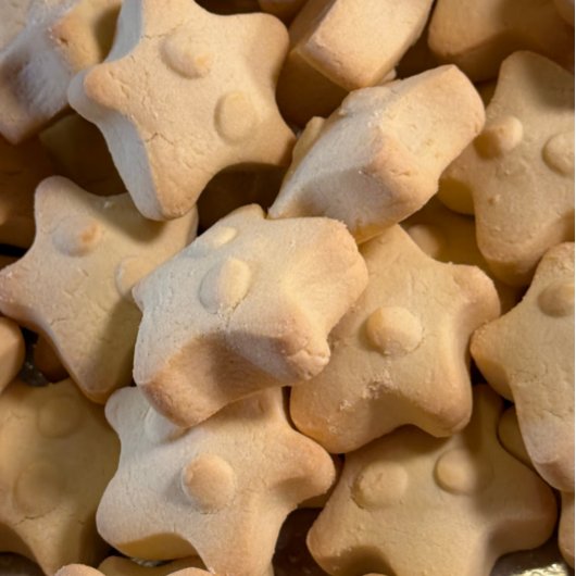 paardenlunchbox