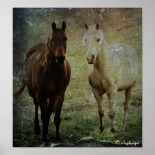 Paardenmaatjes Grunge Poster